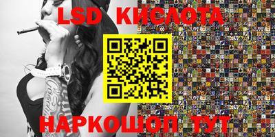 крисы Будённовск