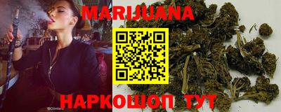 крисы Будённовск