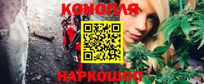 крисы Будённовск