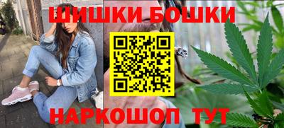 крисы Будённовск