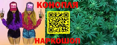 крисы Будённовск
