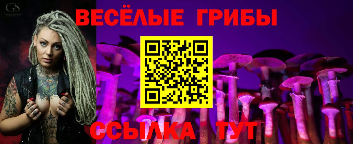 Галлюциногенные грибы MAGIC MUSHROOMS Осинники